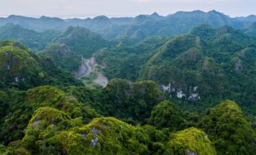 YLXqparc-national-cat-ba-1_1024